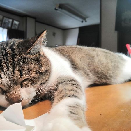 Tiny Guesthouse Umekoji 梅小路 Kiotó Kültér fotó